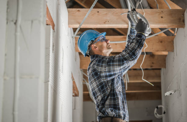 Best Ceiling Fan Installation Electrician  in Omaha, TX